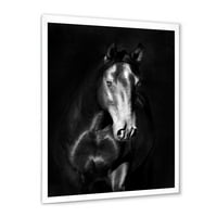 Dizajnerska umjetnost portret crnog konja Izbliza, uokvirena umjetnička gravura za seosku kuću