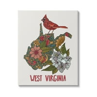 Stupell Industries West Virginia State Kardinal Detaljan cvjetni uzorak grafička umjetnost galerija zamotana platna