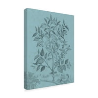 Zaštitni znak likovna umjetnost 'Botanički na Teal v' Canvas Art by Vision Studio
