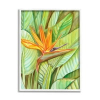 Stupell Industries Bird of Paradise cvjetne latice latice cvjetajući slikanje bijele uokvirene umjetničke print