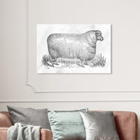 Wynwood Studio životinje zidne umjetničko platno ispisuje 'Ovce u srebrom' Životinje - siva, bijela