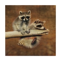 Zaštitni znak likovne umjetnosti 'Raccoons in Tree' platno umjetnost od strane Clarencea Stewarta