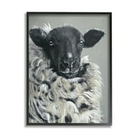 Vintage čupavo životinjsko krzno s farme Dorper ovce, 30 godina, dizajn Susie Redman