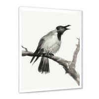 Dizajnerski uzorak jednobojna vrana koja plače na grani tradicionalni uokvireni umjetnički tisak