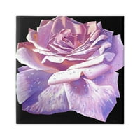 Stupell Industries Bujne ružičaste latice ruže Cvjetne kapljice Slikanje galerija zamotana platna za tisak zidne