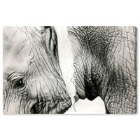 Wynwood Studio 'Gentle Giant' Animals Wall Art Canvas Print - Black, White, 24 16