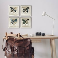 Stupell Industries Asimetrični uzorci krila leptira Slikanje bijelog uokvirenog umjetničkog tiskana umjetnost, set